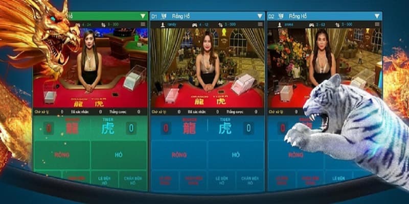 Hướng dẫn chơi rồng hổ và chiến thuật tăng tỷ lệ thắng